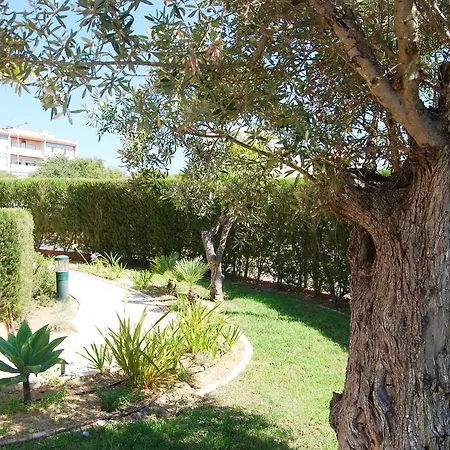 Apartment Algarve Sun Apartment Litoralmar *